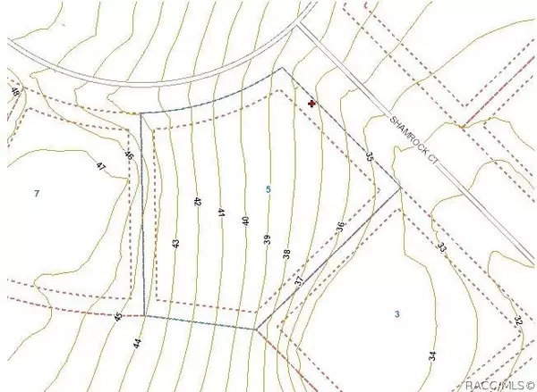 5 Shamrock CT, Homosassa, FL 34446