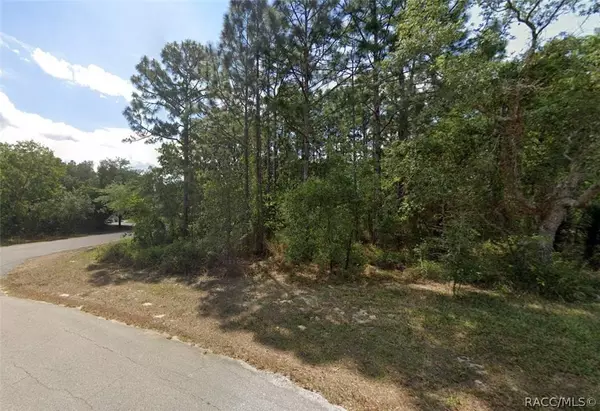 5 Shamrock CT, Homosassa, FL 34446