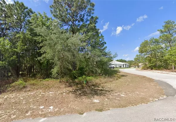 5 Shamrock CT, Homosassa, FL 34446
