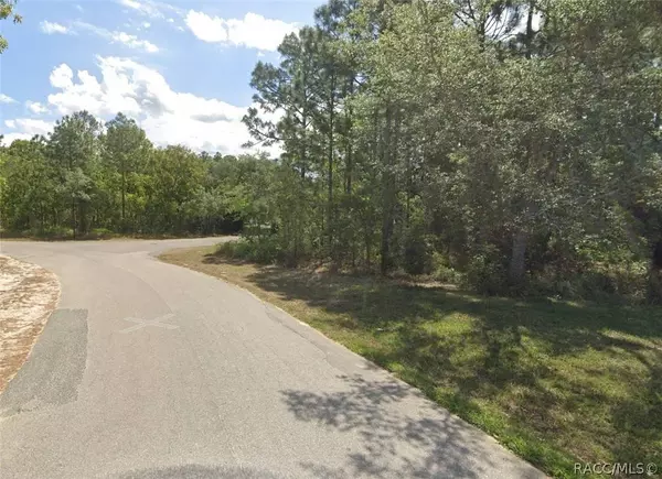 5 Shamrock CT, Homosassa, FL 34446