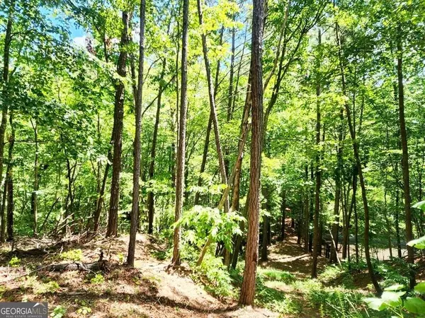 0 Pmb Young RD, Cartersville, GA 30120