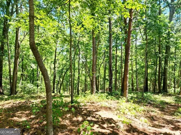 0 Pmb Young RD, Cartersville, GA 30120