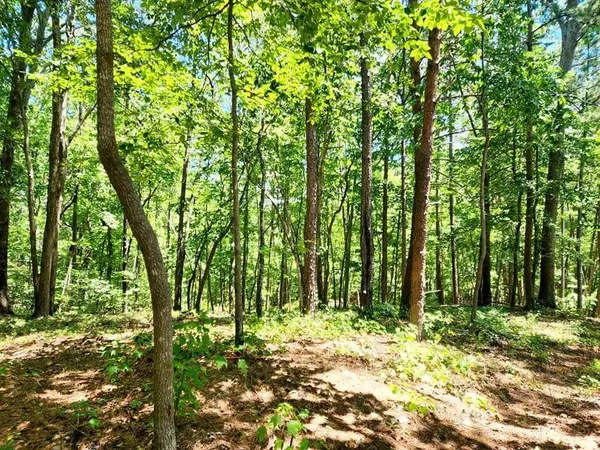 0 Pmb Young RD SE, Cartersville, GA 30120