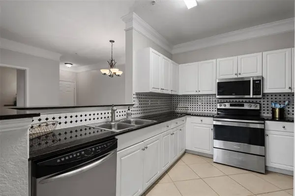 4316 BAYSIDE VILLAGE DR #204, Tampa, FL 33615