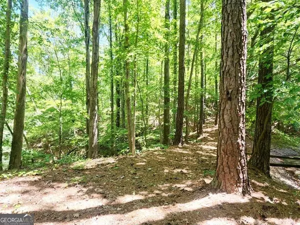 0 Pmb Young RD, Cartersville, GA 30120