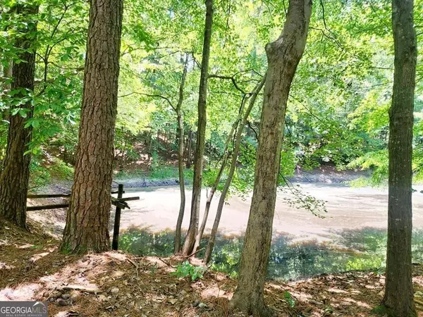 0 Pmb Young RD, Cartersville, GA 30120