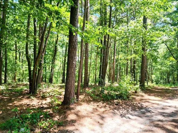 0 Pmb Young RD SE, Cartersville, GA 30120