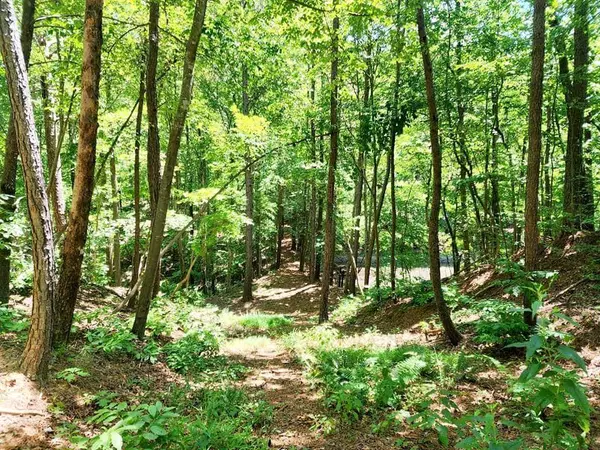 0 Pmb Young RD SE, Cartersville, GA 30120