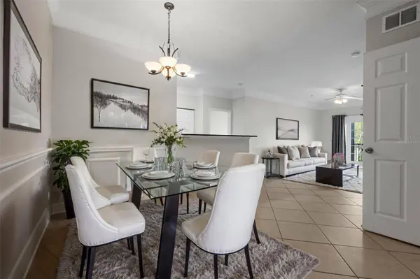 4316 BAYSIDE VILLAGE DR #204, Tampa, FL 33615