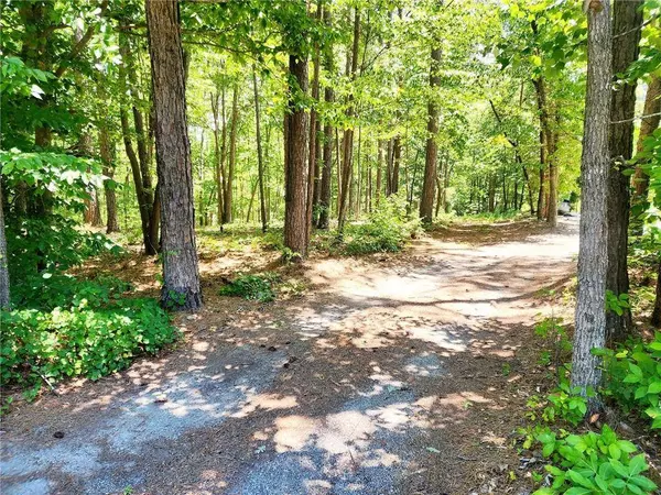 0 Pmb Young RD SE, Cartersville, GA 30120