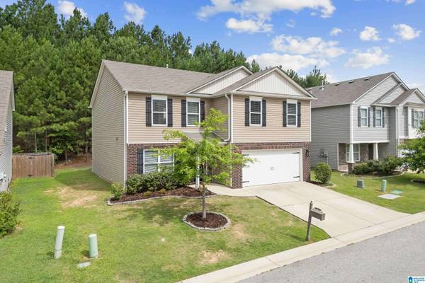 225 CHESSER RESERVE DRIVE, Chelsea, AL 35043