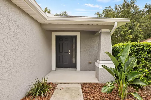 11555 HAMMOCKS GLADE DR, Riverview, FL 33569