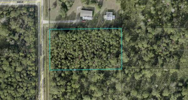 2891 AVOCADO BLVD, Bunnell, FL 32110
