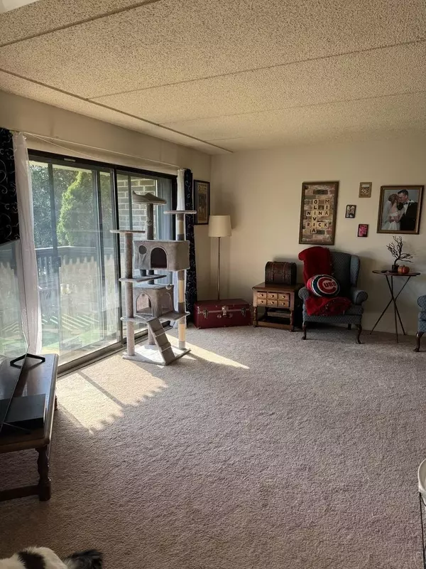 920 Vose DR #103, Gurnee, IL 60031