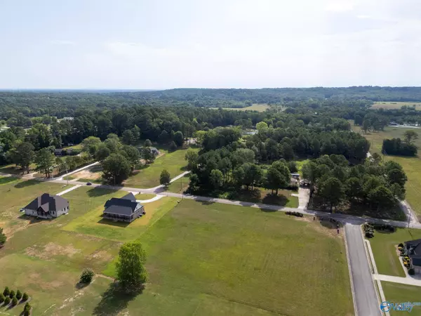 3445 South Chapel Hill Road SW, Decatur, AL 35603