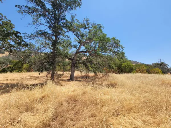 0 Clover Lane, Squaw Valley, CA 93675