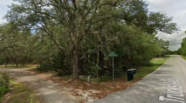 1050 E Whistler CT, Hernando, FL 34442