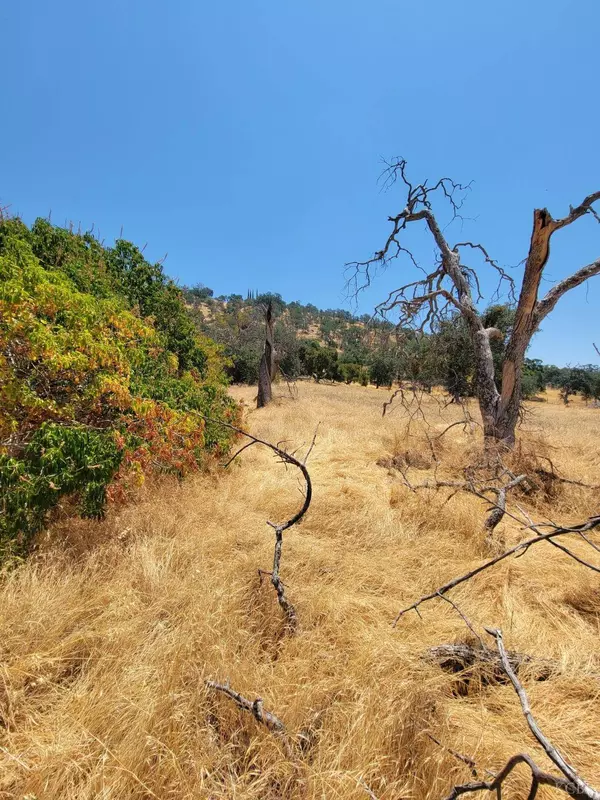 0 Clover Lane, Squaw Valley, CA 93675