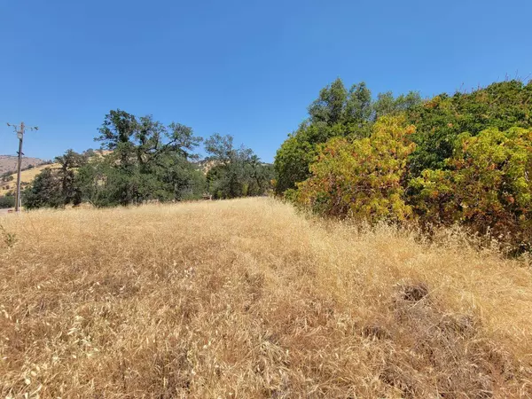 0 Clover Lane, Squaw Valley, CA 93675