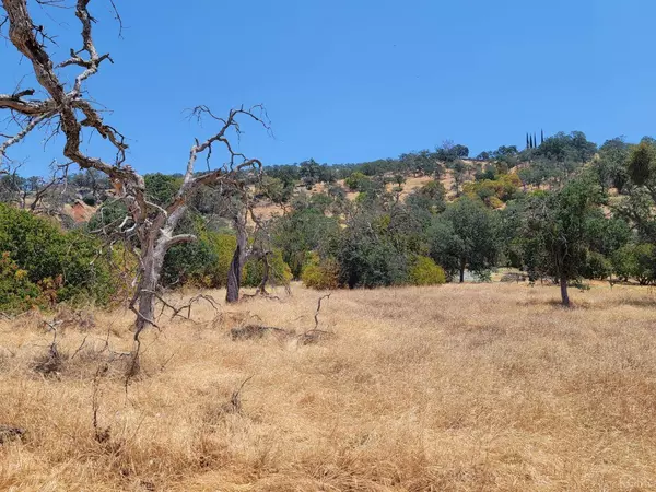 0 Clover Lane, Squaw Valley, CA 93675