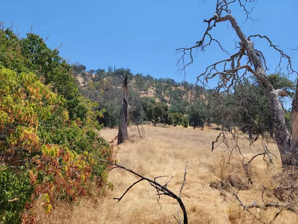 0 Clover Lane, Squaw Valley, CA 93675