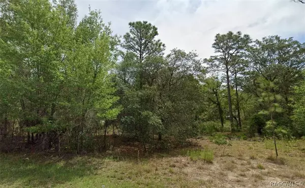 1050 E Whistler CT, Hernando, FL 34442