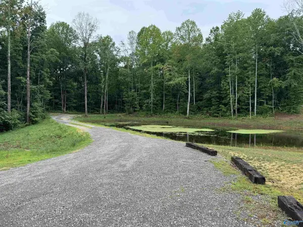 6608 County Road 107, Scottsboro, AL 35768