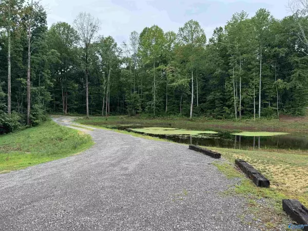 6608 County Road 107, Scottsboro, AL 35768