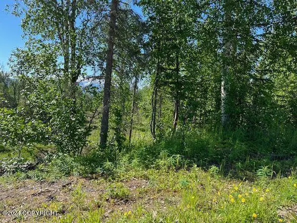 4664 W Monument CIR, Wasilla, AK 99654