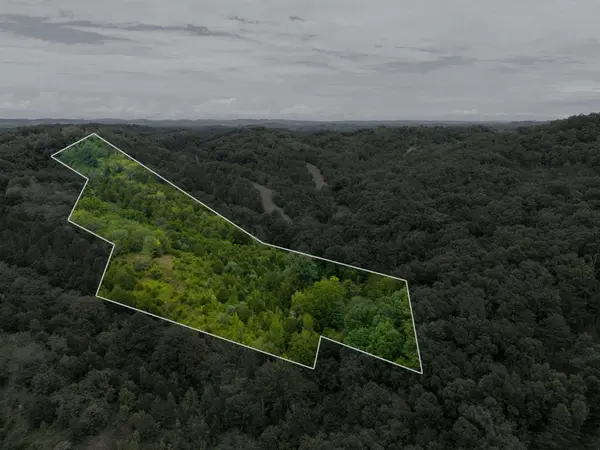 0 Witt Hollow Road, Sevierville, TN 37876
