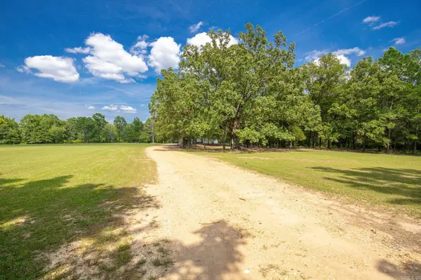 1003 Grant 37, Prattsville, AR 72129