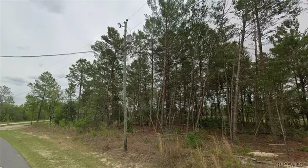 2204 W Riley DR, Dunnellon, FL 34434