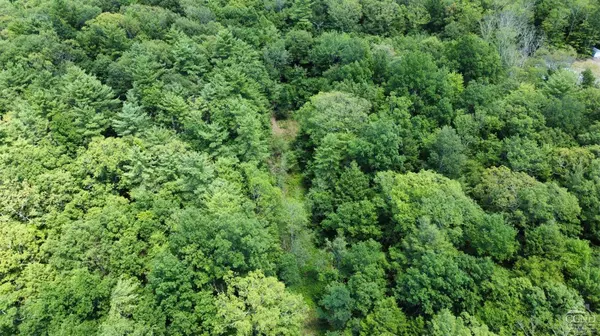 0 Vernal Butler Rd, Cairo, NY 12413