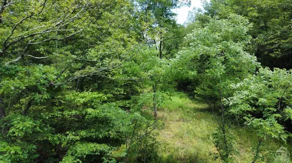 0 Vernal Butler Rd, Cairo, NY 12413