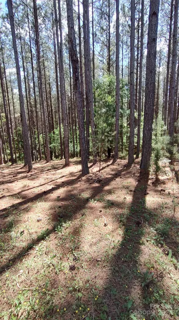 105 Cranberry LN #80, Mooresboro, NC 28114