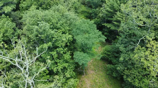 0 Vernal Butler Rd, Cairo, NY 12413