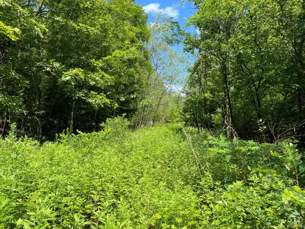 0 Vernal Butler Rd, Cairo, NY 12413