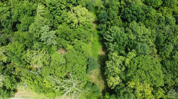 0 Vernal Butler Rd, Cairo, NY 12413