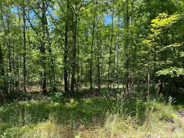 0 Vernal Butler Rd, Cairo, NY 12413