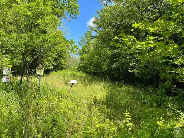 0 Vernal Butler Rd, Cairo, NY 12413