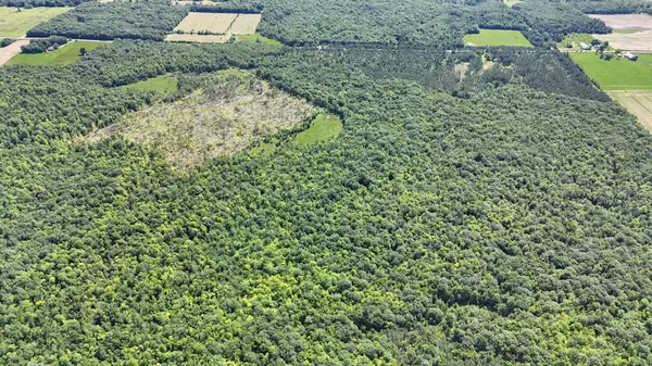 W11816 Imalone RD, Murry Twp, WI 54819