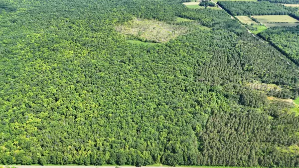 W11816 Imalone RD, Murry Twp, WI 54819