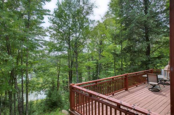3628 CHANNEL RD, Watersmeet, MI 49969