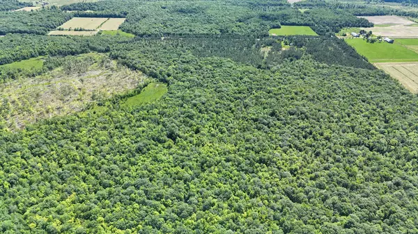 W11816 Imalone RD, Murry Twp, WI 54819