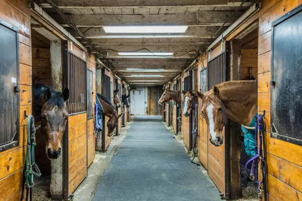 960 East Pittsford RD, Rutland Town, VT 05701