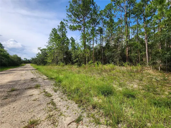 6457 N BAYLOR TER, Dunnellon, FL 34433