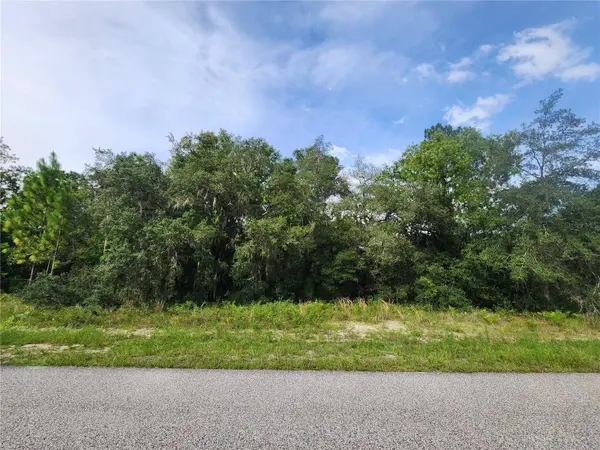 11001 N HARRIET WAY, Citrus Springs, FL 34434