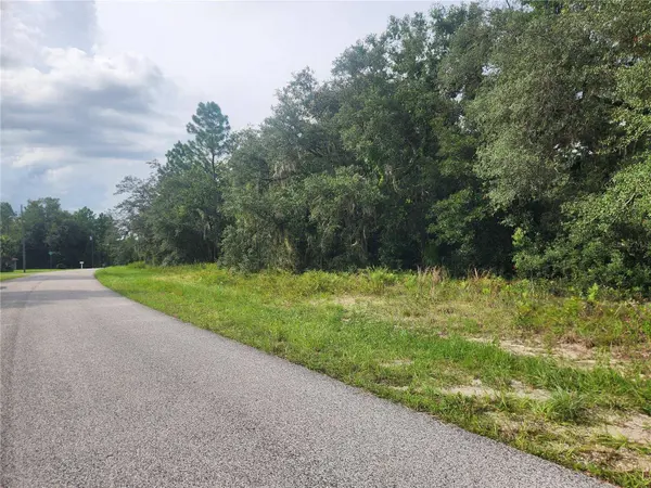 11001 N HARRIET WAY, Citrus Springs, FL 34434