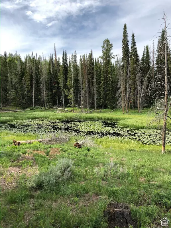 1 UINTA #16-3, Kamas, UT 84036