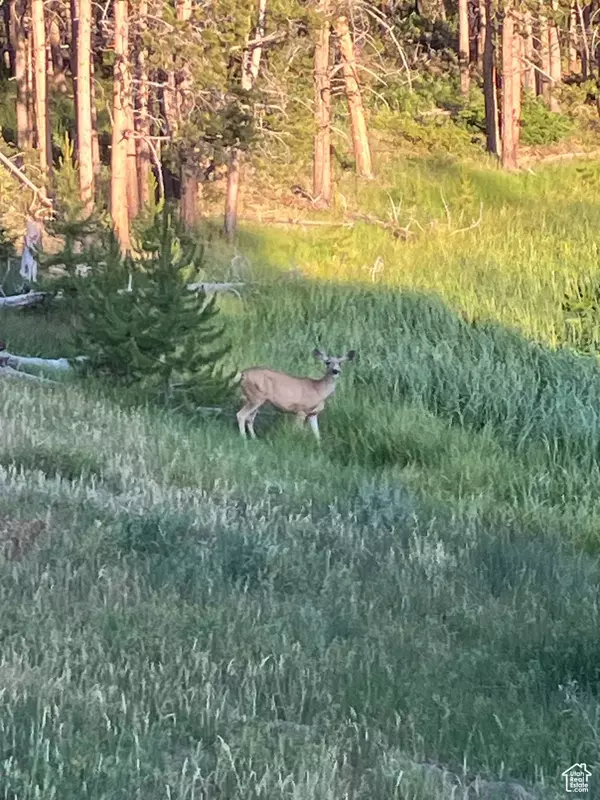 1 UINTA #16-3, Kamas, UT 84036